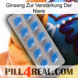 Ginseng Zur Verstärkung Der Niere 22